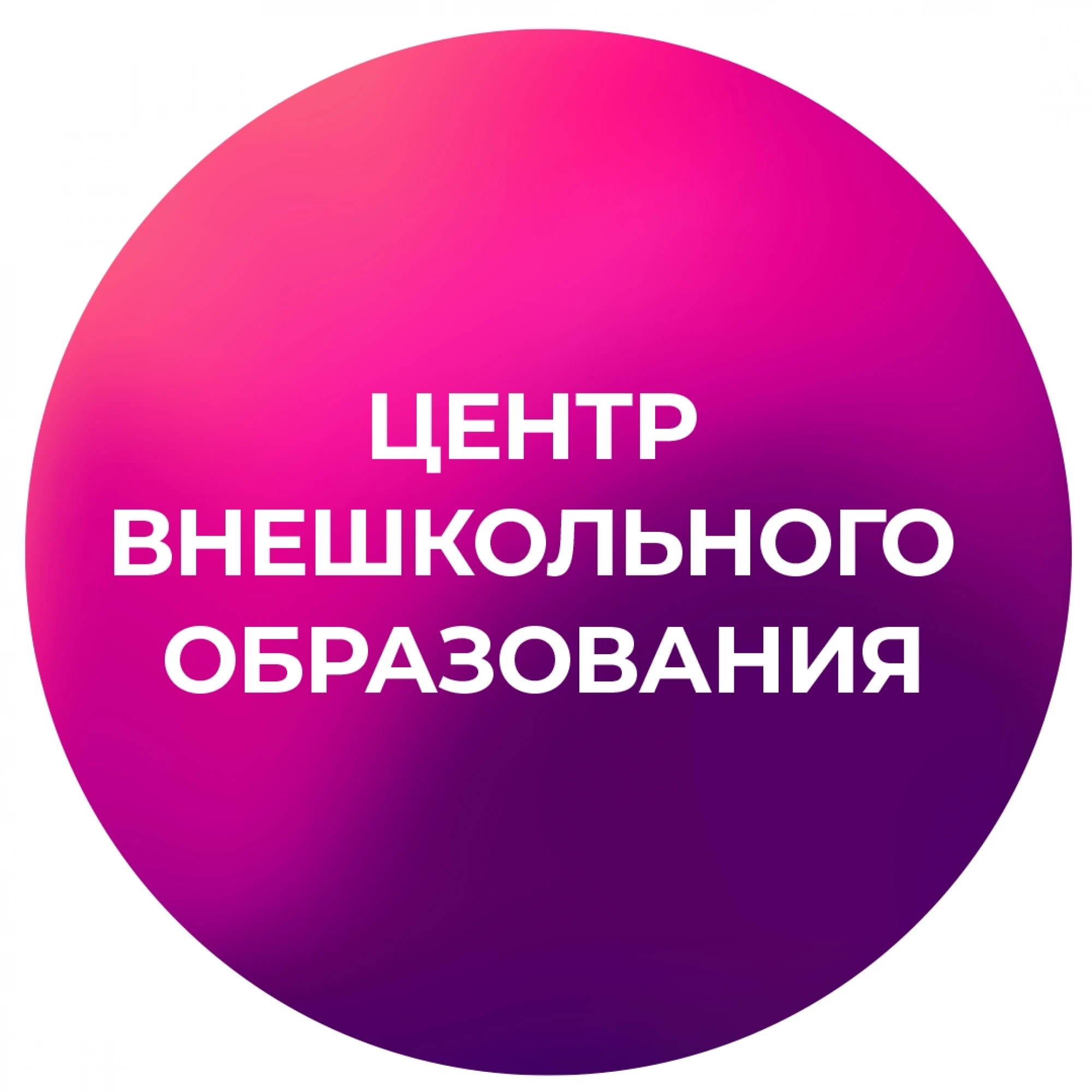 Муниципальное казённое образовательное учреждение дополнительного образования «Центр внешкольного образования», г. Мелитополь Запорожской области