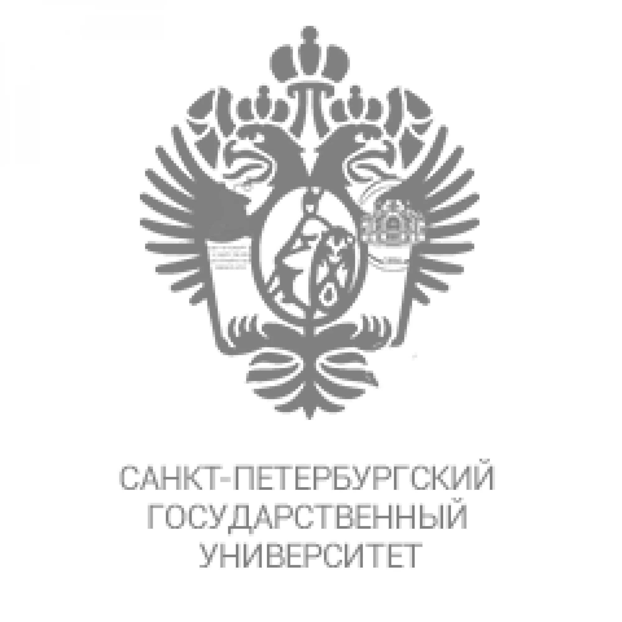 ФГБОУ ВО «Санкт-Петербургский государственный университет»/ Институт педагогики